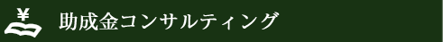助成金コンサルティング